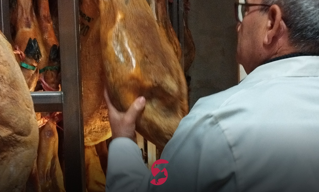 blog-visitacarrasco